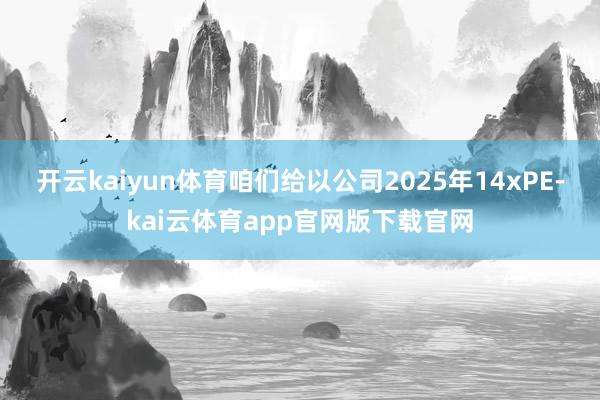 开云kaiyun体育咱们给以公司2025年14xPE-kai云体育app官网版下载官网