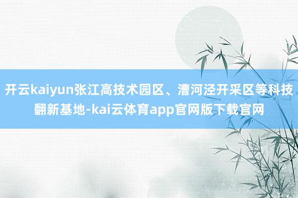开云kaiyun张江高技术园区、漕河泾开采区等科技翻新基地-kai云体育app官网版下载官网
