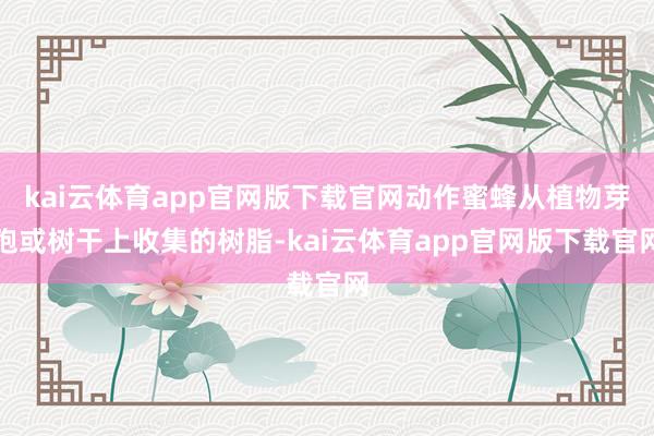 kai云体育app官网版下载官网动作蜜蜂从植物芽孢或树干上收集的树脂-kai云体育app官网版下载官网