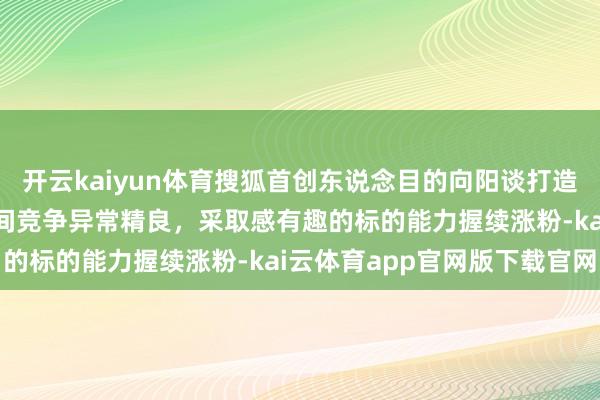 开云kaiyun体育搜狐首创东说念目的向阳谈打造个东说念主IP：账号之间竞争异常精良，采取感有趣的标的能力握续涨粉-kai云体育app官网版下载官网