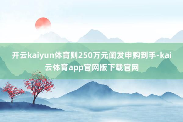 开云kaiyun体育则250万元阐发申购到手-kai云体育app官网版下载官网