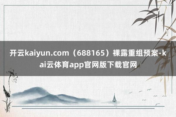 开云kaiyun.com（688165）裸露重组预案-kai云体育app官网版下载官网