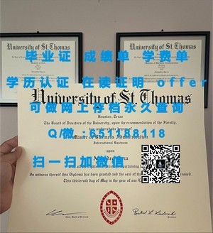 南丹麦大学文凭，丹麦教育品质的象征