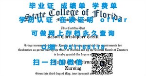 哥本哈根工程学院国际文凭解读