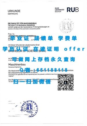 丹麦奥尔胡斯建筑学院，通往国际认可的文凭之路