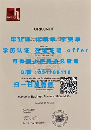 丹麦技术大学学术成绩单揭秘