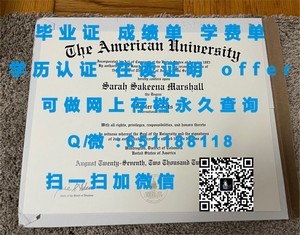 哥本哈根信息技术大学文凭解析