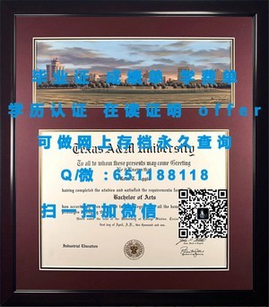 明斯特大学官方成绩单详解