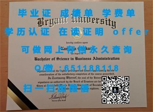 柏林应用科学大学文凭，国际化教育成就的象征