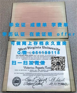 慕尼黑工业大学毕业生证书揭秘