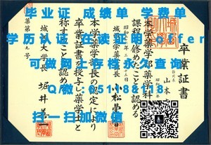杜伊斯堡-埃森大学学位证书揭秘