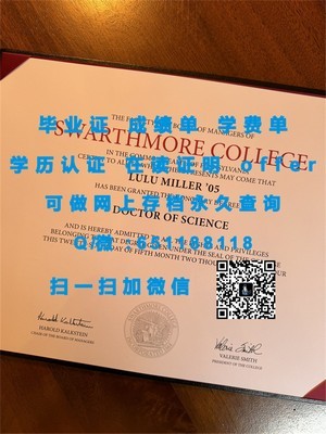 伊尔梅瑙工业大学成绩单解读指南