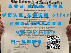 丹麦西兰大学学术成绩单揭晓