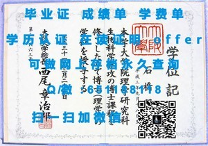 波尔多第一大学学历证书颁发记
