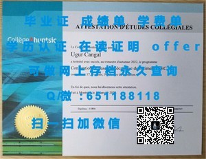 里尔第一大学文凭，开启卓越学术之旅