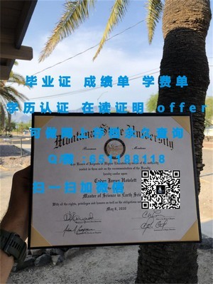 巴黎第八大学学位证书揭秘